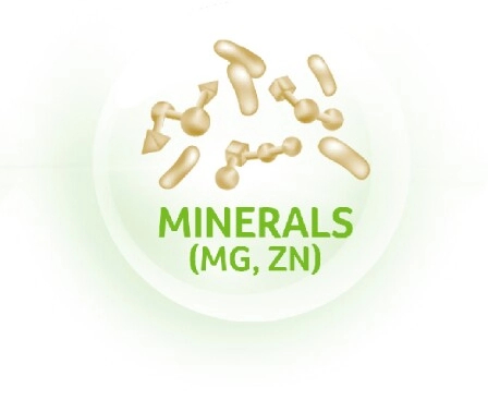 Minerals